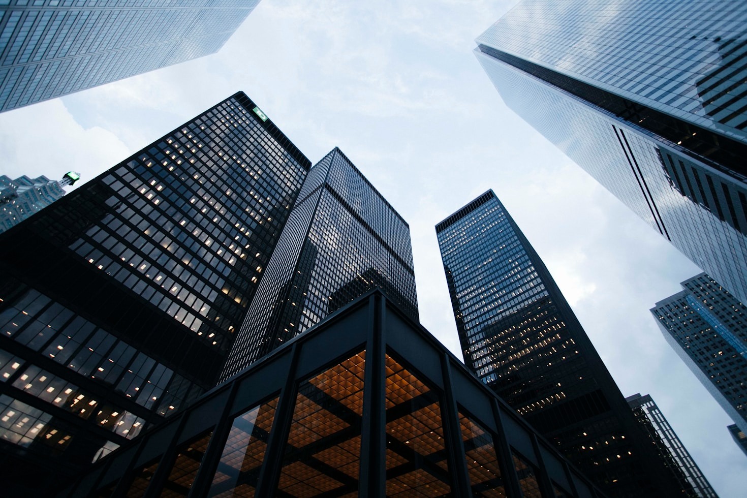 Building Investor Confidence Through Transparency and Vision